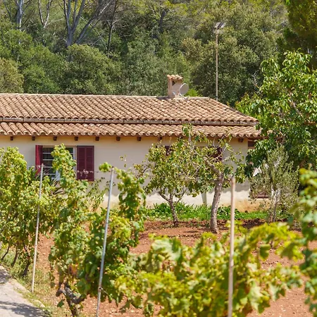 Ullastro By Interhome Pollença
